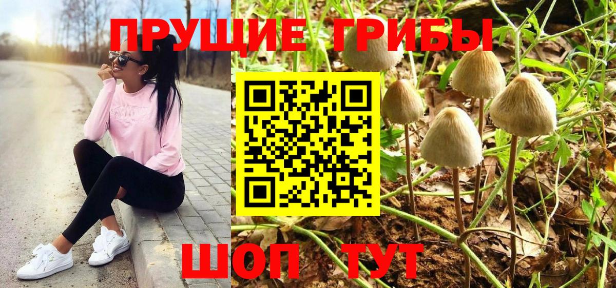 Псилоцибиновые грибы Psilocybe  Псилоцибиновые грибы мухоморы  Вход с VPN  Полевской 
